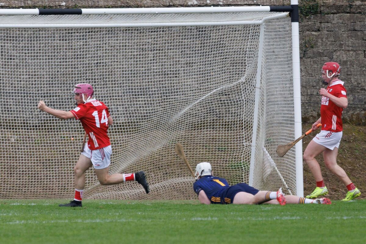 Cork's Callum Coffey celebrates his goal during the Clare v Cork Munster Minor Hurling Championship Round 3 match at Tulla, Co Clare. Picture: Eamon Ward
