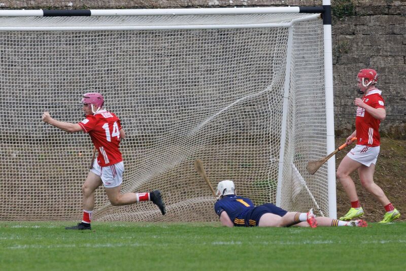 Cork's Callum Coffey celebrates his goal during the Clare v Cork Munster Minor Hurling Championship Round 3 match at Tulla, Co Clare. Picture: Eamon Ward