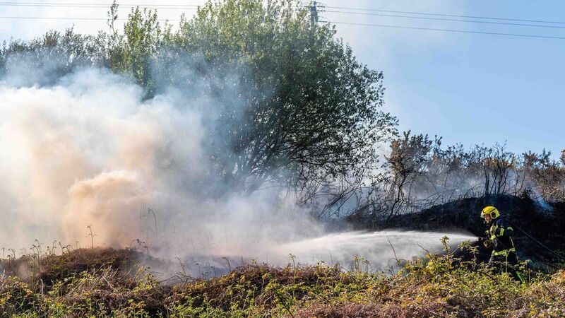Woman injured during gorse fire in West Cork