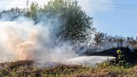 Woman injured during gorse fire in West Cork