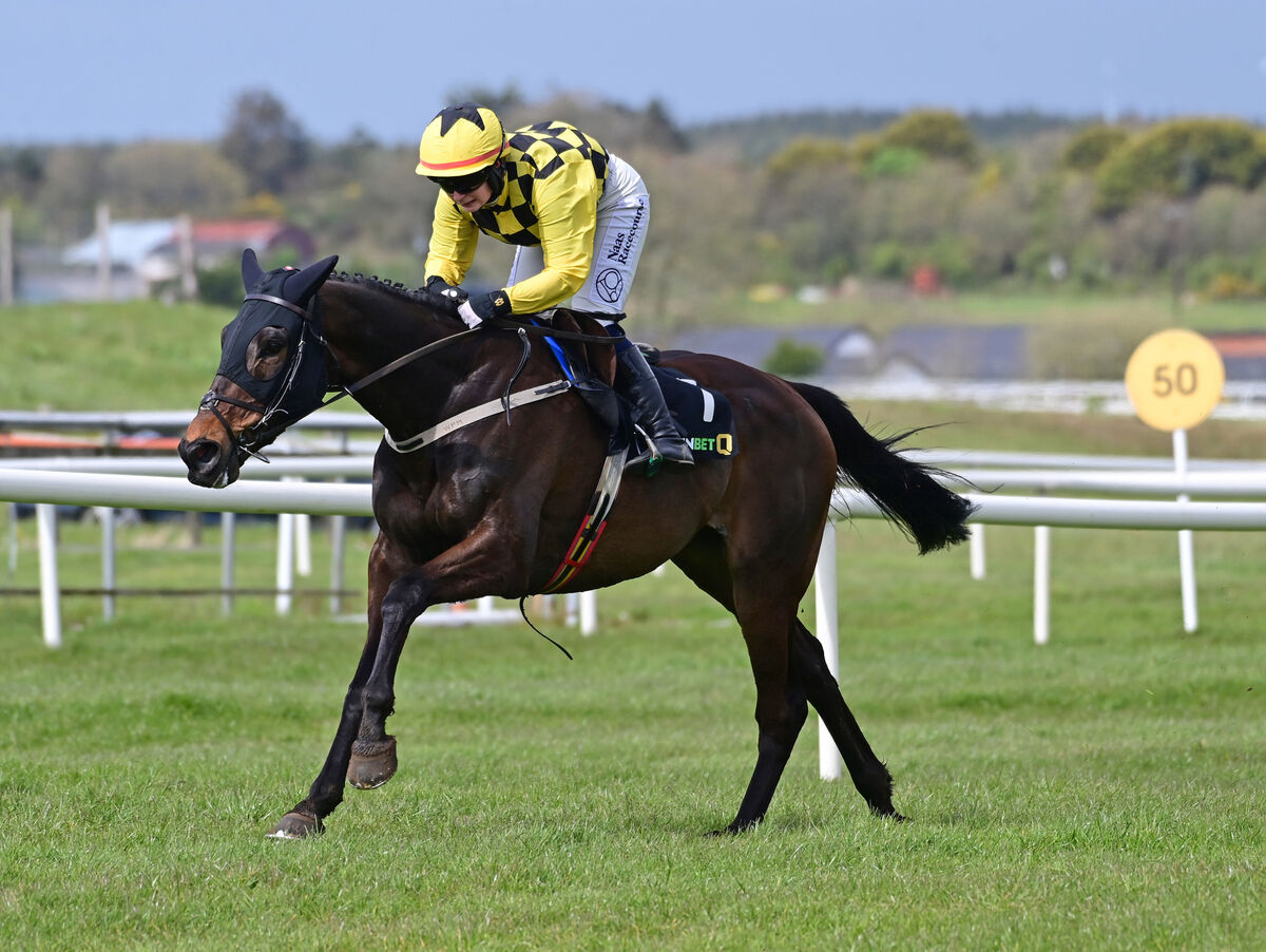 Soir De Garde and Jody Townend win the QuinnBet Maiden Hurdle at Tramore. Picture: Healy Racing Soir De Garde and Jody Townend win the QuinnBet Maiden Hurdle at Tramore. Picture: Healy Racing