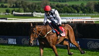 Punchestown Festival - Day One