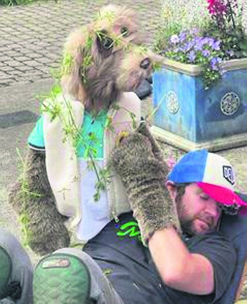Ray Cuddihy with Séamus the dog in the wild in the new TV show Ray Cuddihy with Séamus the dog in the wild in the new TV show