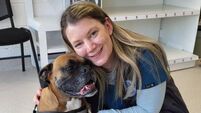 'We loved the idea of the old-school community vet': Sarah opens new practice in Cork 