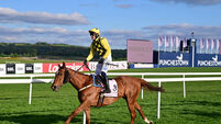 Paul Townend and State Man deliver in style for Cork's Joe and Marie Donnelly