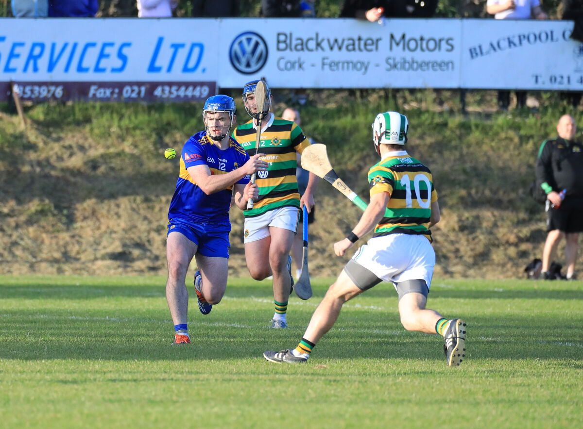 Carrigaline's Brian Kelleher lands a point. Picture: David Creedon