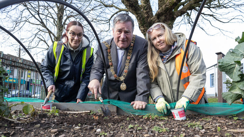 Ballyphehane Community Association and Save Our Bride Otters groups nominated for Lord Mayor awards