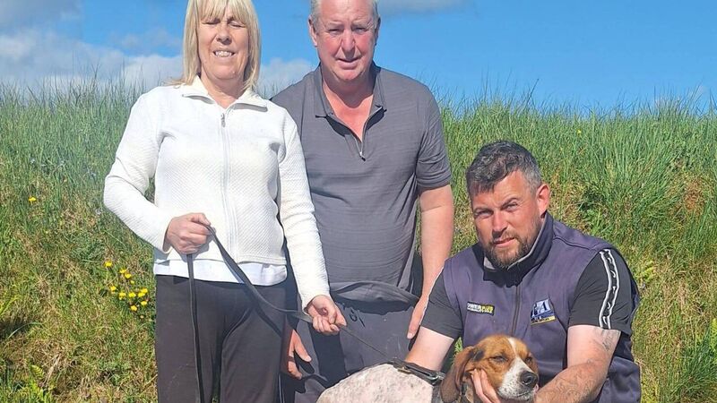 Cork Draghunting: High Miss wins again to capture the Jimmy Carey Memorial Senior Draghunt