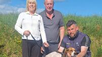 Cork Draghunting: High Miss wins again to capture the Jimmy Carey Memorial Senior Draghunt