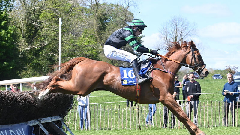 Michael Kenneally impresses again at Muskerry Foxhounds Point meeting Michael Kenneally impresses again at Muskerry Foxhounds Point meeting