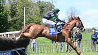 Michael Kenneally impresses again at Muskerry Foxhounds Point meeting