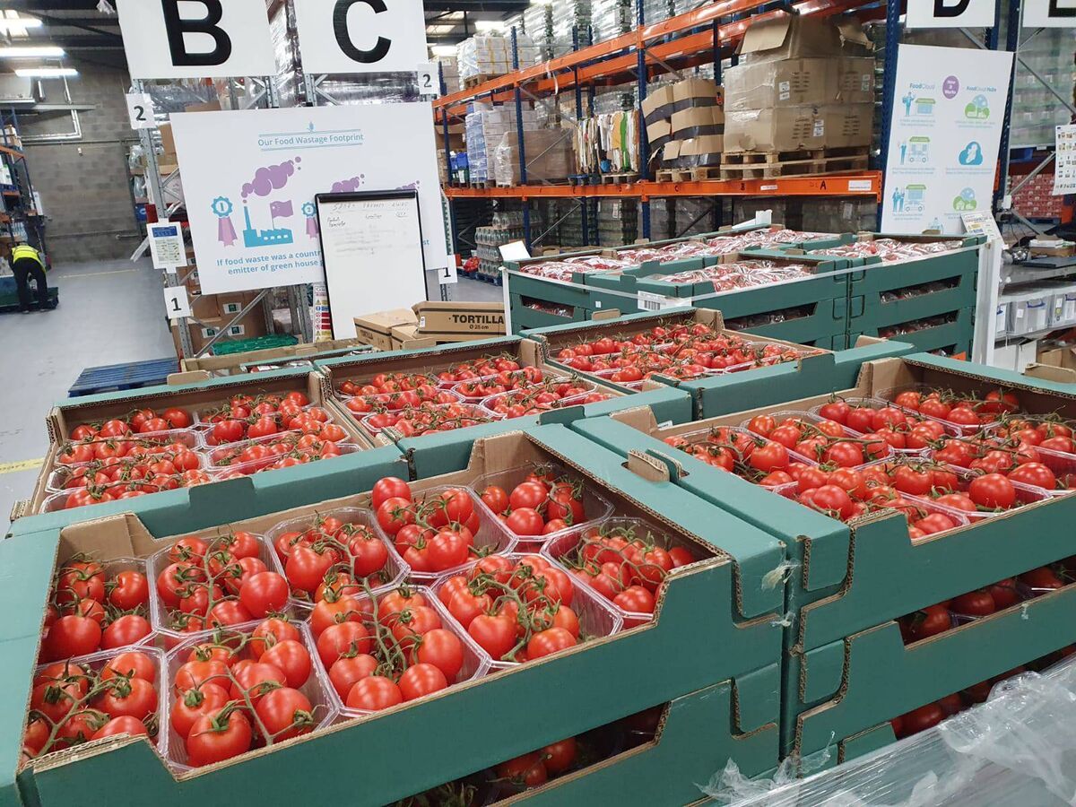 FoodCloud receives food from both bigger and smaller producers.