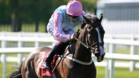 Cork Trainer Paddy Twomey is making a name for himself with some fantastic performances and wins