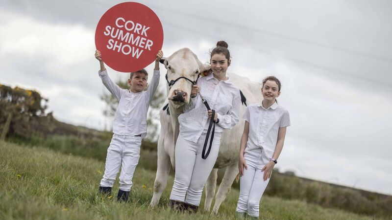 Exciting programme lined up for biggest ever Cork Summer Show  