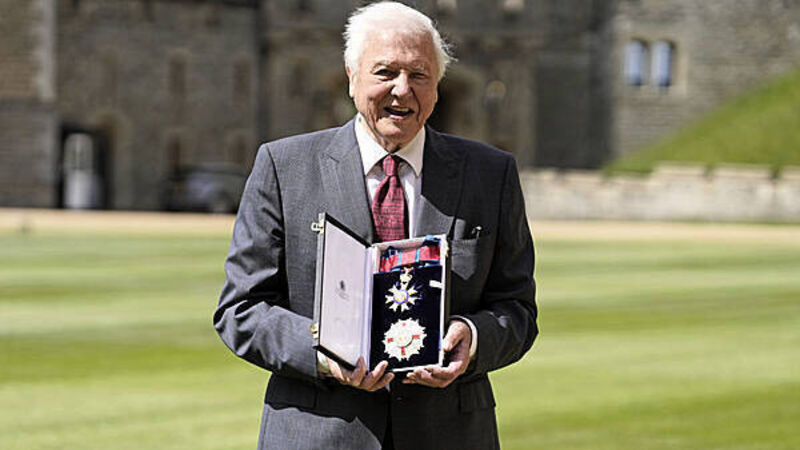 David Attenborough’s ‘global legacy’ celebrated as broadcaster turns 99