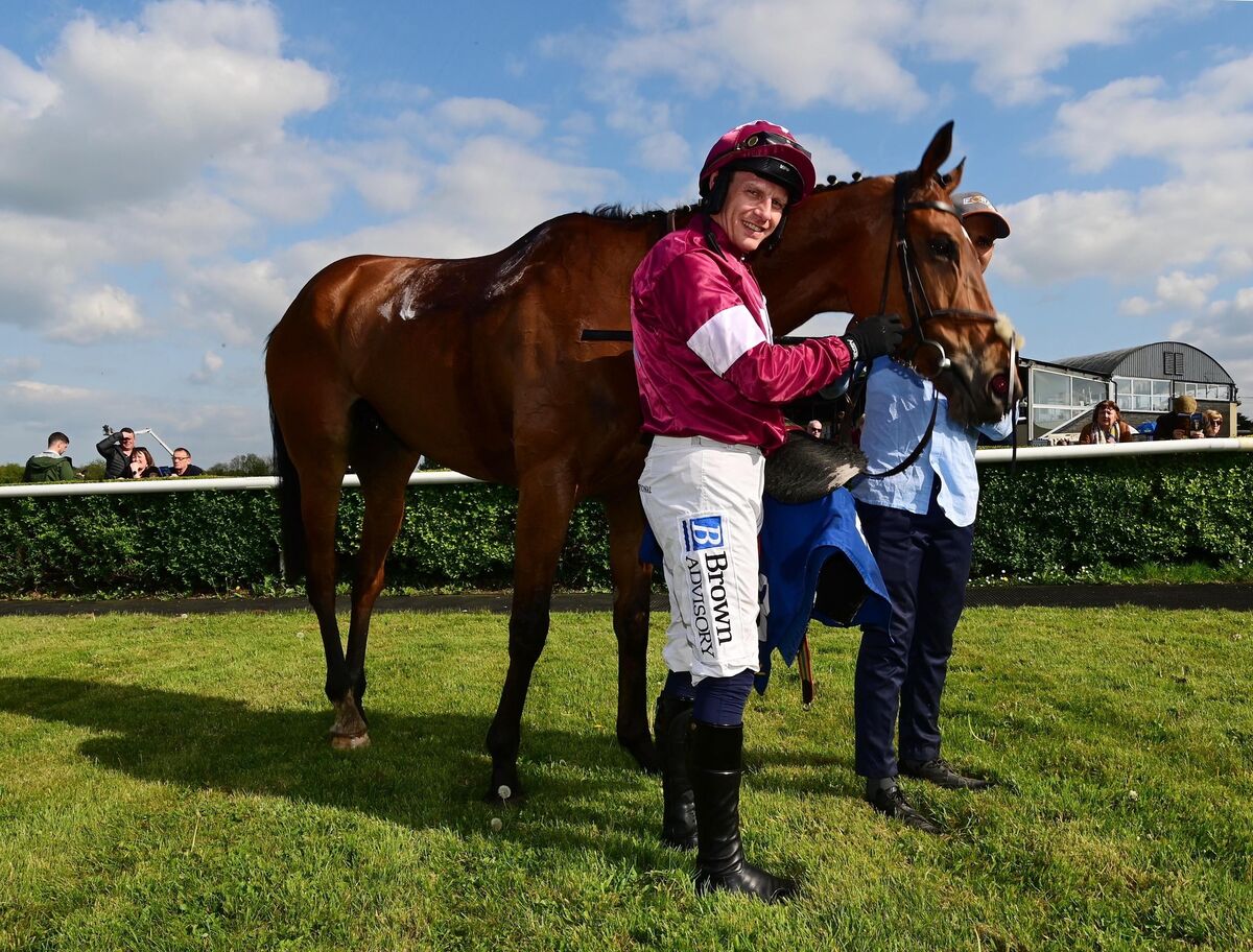 Gold Dancer and Paul Townend. Picture: Healy Racing Gold Dancer and Paul Townend. Picture: Healy Racing