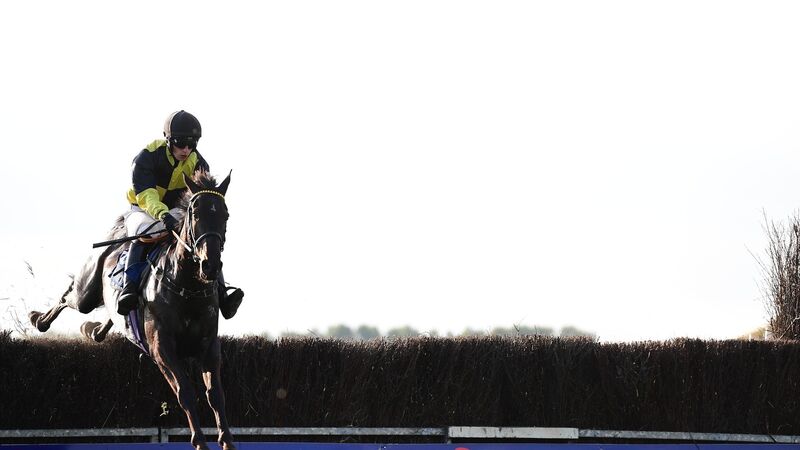Joy for Rebel County as Cork connections dominate Tipperary Point to Point Joy for Rebel County as Cork connections dominate Tipperary Point to Point
