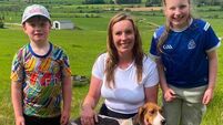 Cork Draghunting: High Miss wins at Bottle Hill to maintain good form