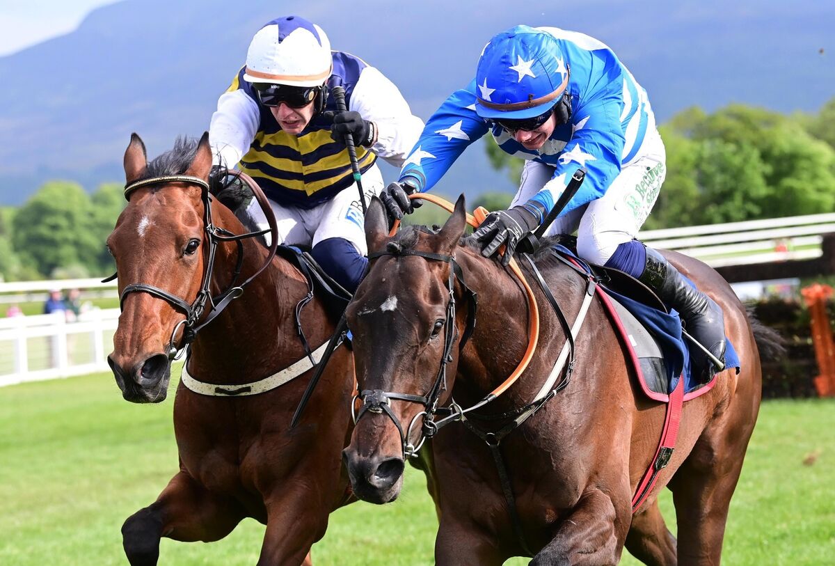 Sober & Paul Townend (left) win the Irish Examiner Novice Hurdle from Arch Enemy (right) Sober & Paul Townend (left) win the Irish Examiner Novice Hurdle from Arch Enemy (right)