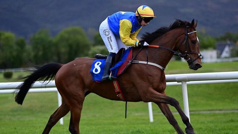 Jody Townend takes Killarney Bumper for Carrigtwohill trainer Terence O'Brien Jody Townend takes Killarney Bumper for Carrigtwohill trainer Terence O'Brien