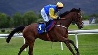 Jody Townend takes Killarney Bumper for Carrigtwohill trainer Terence O'Brien