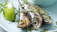The secret benefits of the humble sardine