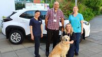Therapy dog Holly is the newest team member at Cork's Marymount Hospice