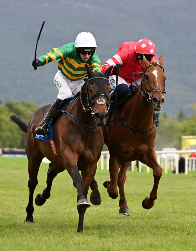 Hercule Du Seuil and Mark Walsh (left) win from Blood Destiny and Paul Townend for trainer Willie Mullins. Picture: Healy Racing