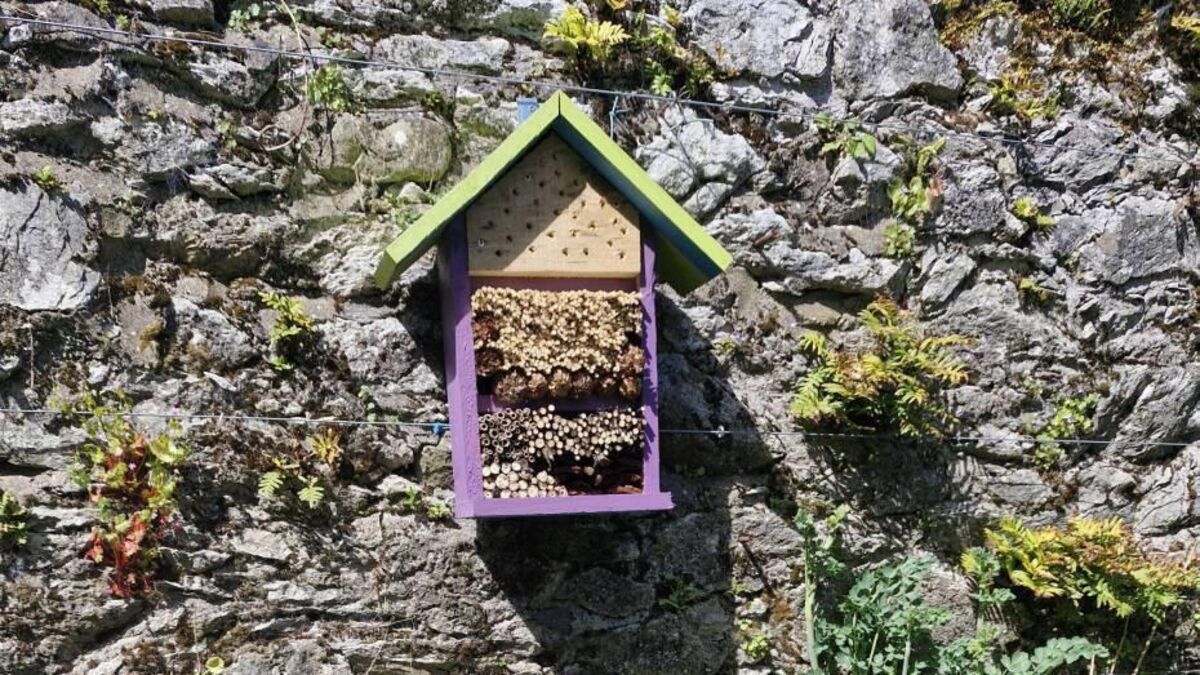 In the garden: How to create habitats within your garden