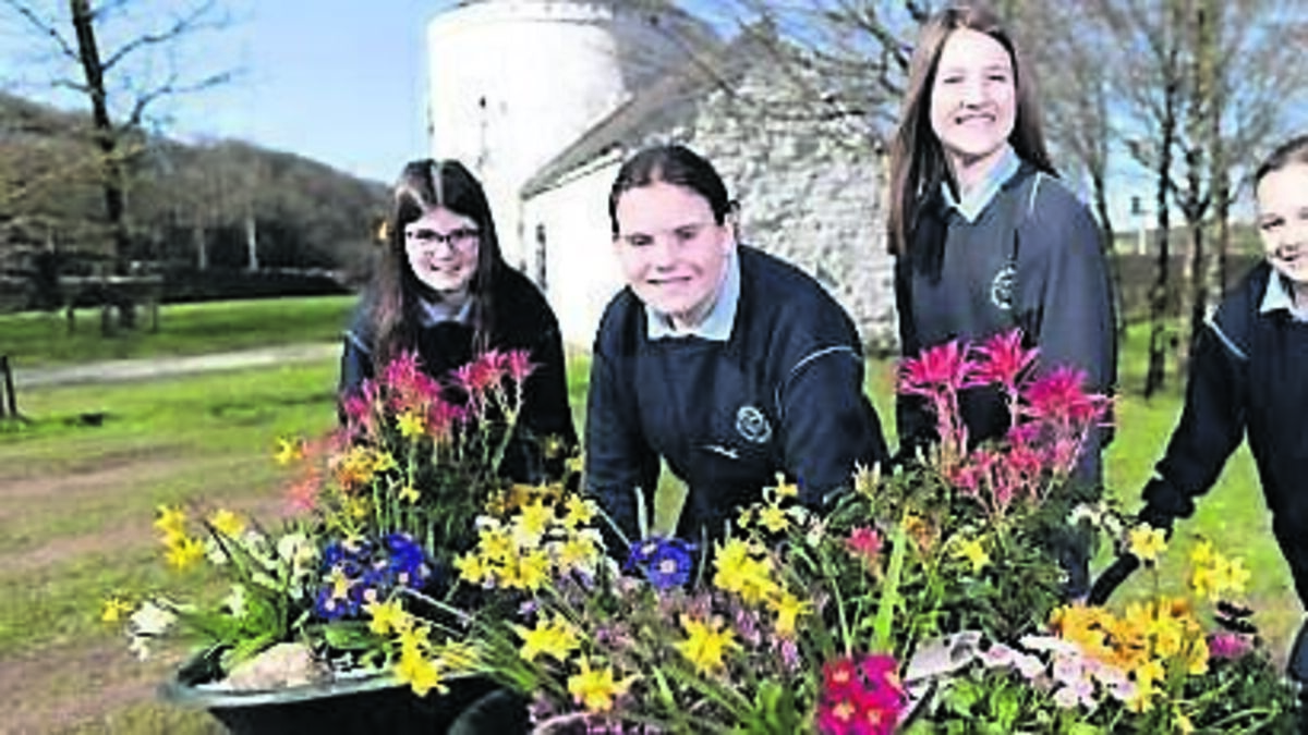 TV focus on the Cork town that cleaned up