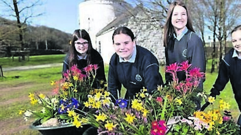 TV focus on the Cork town that cleaned up TV focus on the Cork town that cleaned up