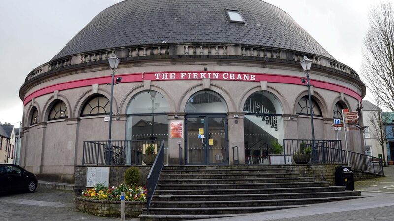 Cork City Council to provide more than €127k for repair of Firkin Crane roof