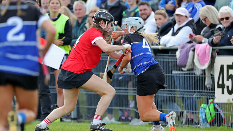 Divisional camogie sides back in senior championship