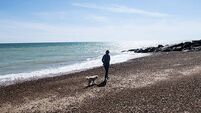 Woman walking a dog on a deserted beach on a sunny day