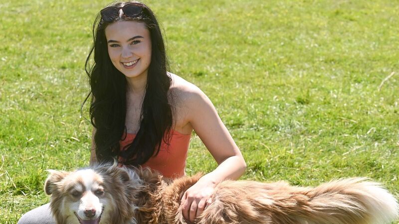 United Foxhounds point-to-point meeting at Ballindenisk was a huge success and a great day out United Foxhounds point-to-point meeting at Ballindenisk was a huge success and a great day out