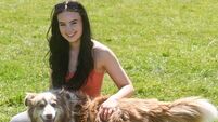 United Foxhounds point-to-point meeting at Ballindenisk was a huge success and a great day out
