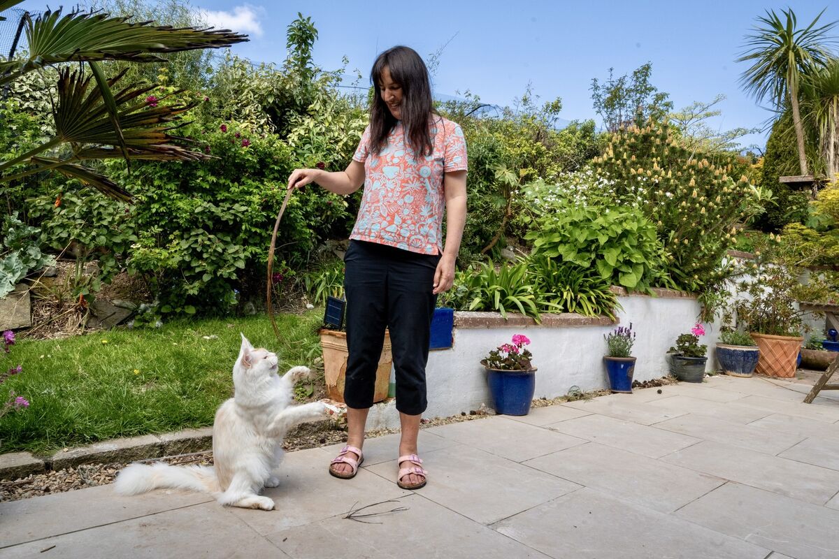 Dr Claudia Wagner with her Maine Coon, Casper, playing in her sunny garden. Picture Chani Anderson
Dr Claudia Wagner with her Maine Coon, Casper, playing in her sunny garden. Picture Chani Anderson
