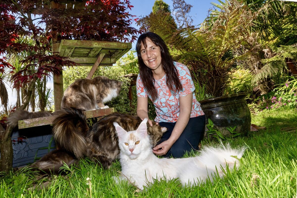 Dr Claudia Wagner, a lecturer and award-winning Maine Coon breeder, in the garden of her home near Ballycotton, which she has transformed into a haven for her 15 cats. Picture Chani Anderson
Dr Claudia Wagner, a lecturer and award-winning Maine Coon breeder, in the garden of her home near Ballycotton, which she has transformed into a haven for her 15 cats. Picture Chani Anderson