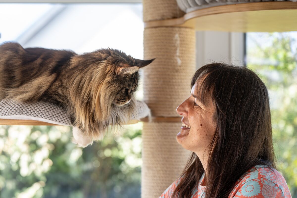 Dr Claudia Wagner enjoys a special bond with each of her 15 cats. Picture: Chani Anderson
Dr Claudia Wagner enjoys a special bond with each of her 15 cats. Picture: Chani Anderson