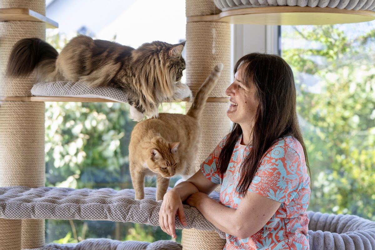 Dr Claudia Wagner, a lecturer and award-winning Maine Coon breeder, in the garden of her home near Ballycotton, which she has transformed into a haven for her 15 cats. Picture Chani Anderson
Dr Claudia Wagner, a lecturer and award-winning Maine Coon breeder, in the garden of her home near Ballycotton, which she has transformed into a haven for her 15 cats. Picture Chani Anderson