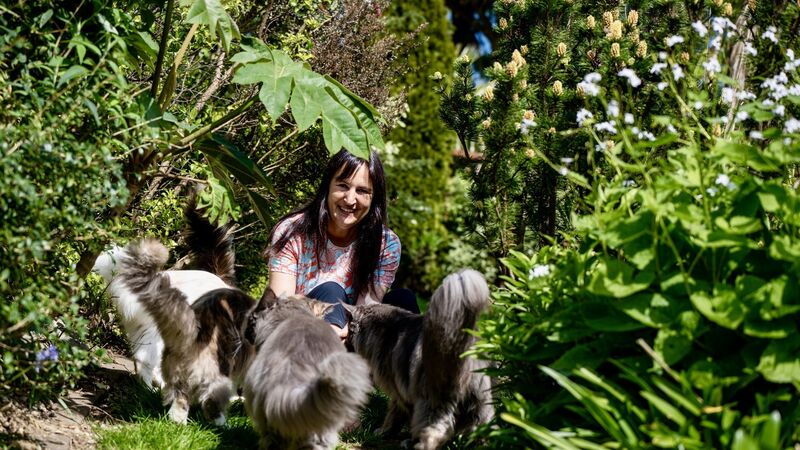 ‘My show cats mustn’t have a hair out of place,’ says Cork breeder ‘My show cats mustn’t have a hair out of place,’ says Cork breeder