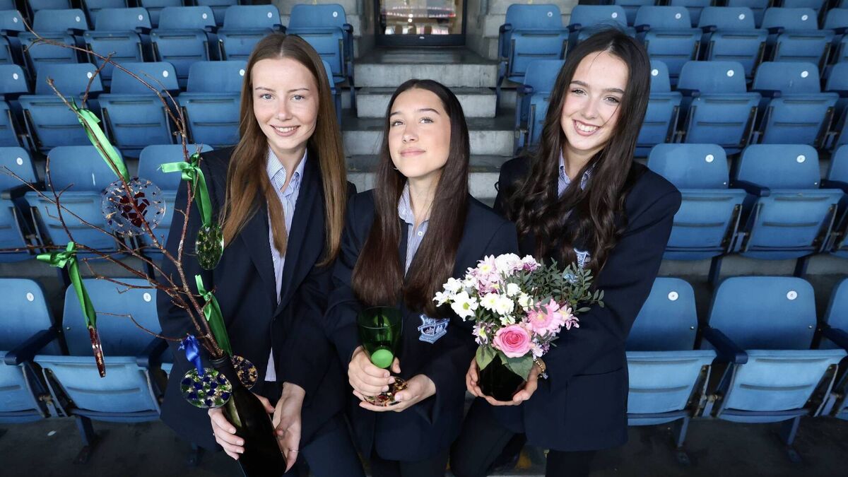 Two Cork schools among finalists at youth entrepreneur awards 