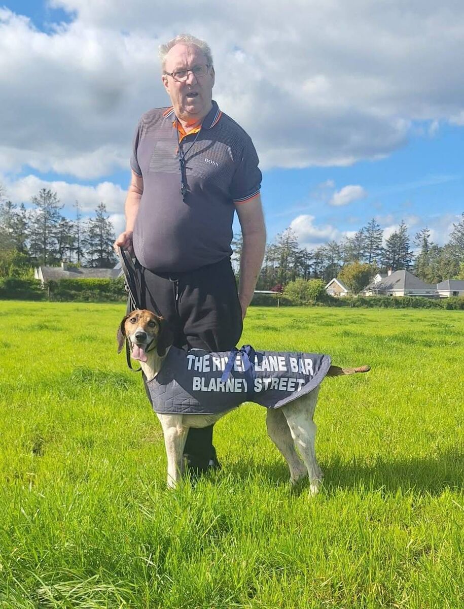 Cork Draghunting: Donal O'Donovan with High  Miss of Griffin United winner of the Shanakiel Harriers Senior Draghunt at Newcestown.