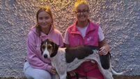 High Miss of Griffin United records her fifth consecutive draghunt success