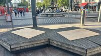 Taoiseach defends Cork City Council’s purchase of ‘robot trees’