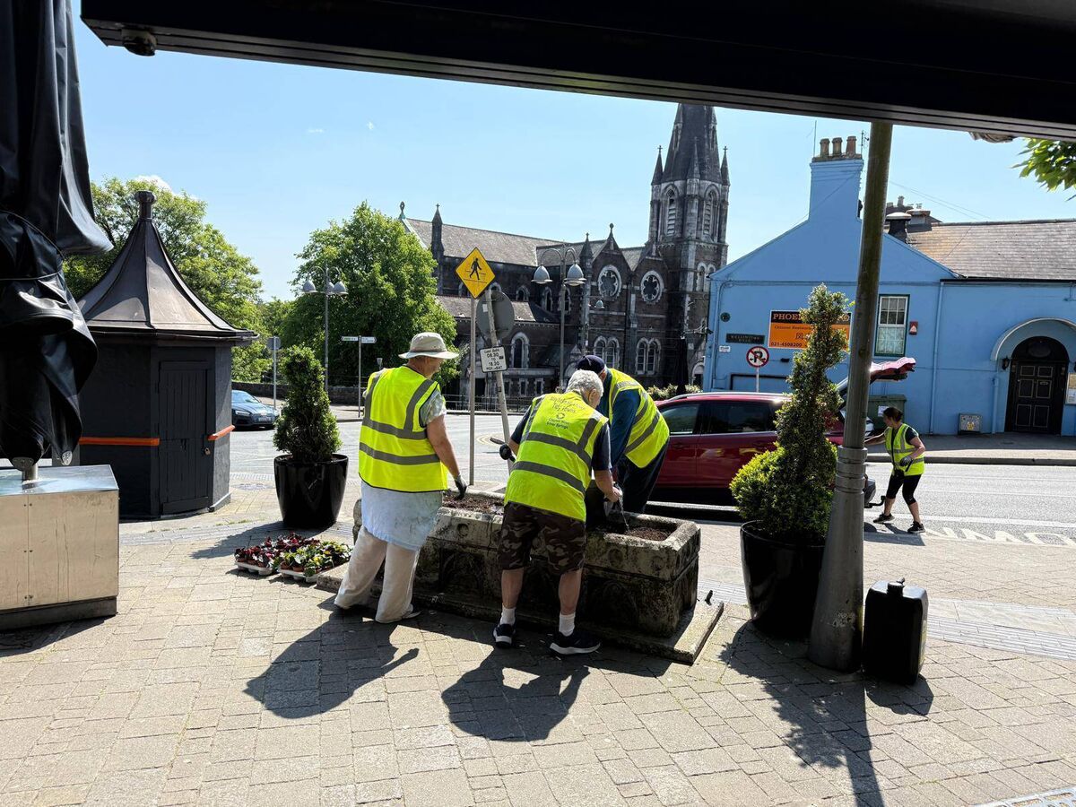 Mayfield St Luke's Tidy Towns have been flower planting in recent weeks.