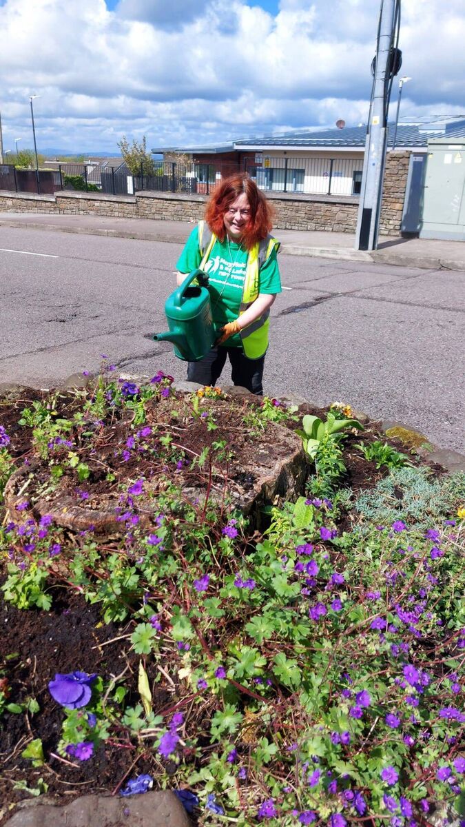 Mayfield St Luke's Tidy Towns have been flower planting in recent weeks.