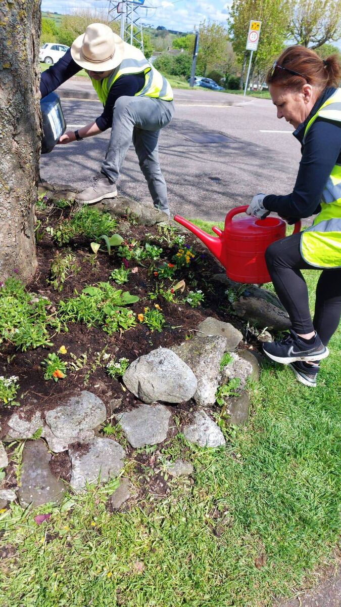 Mayfield St Luke's Tidy Towns have been flower planting in recent weeks.