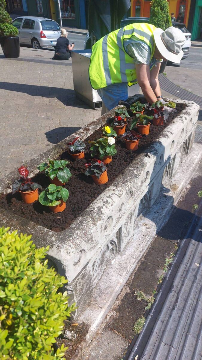 Mayfield St Luke's Tidy Towns have been flower planting in recent weeks.