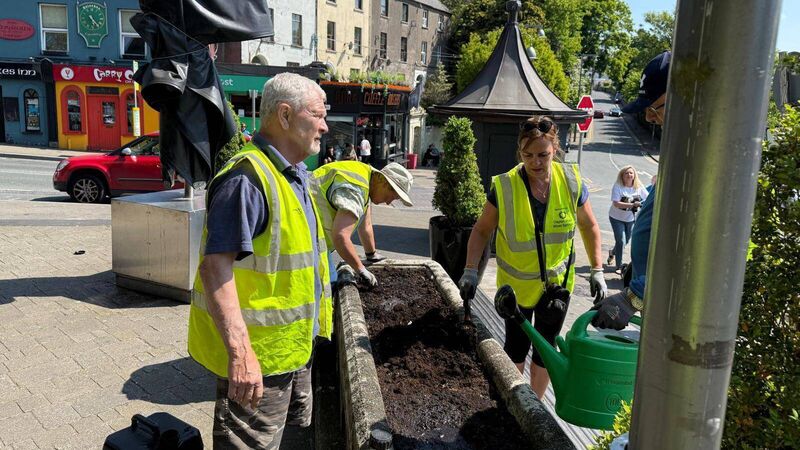 All About Cork: Mayfield Tidy Towns group start flower planting